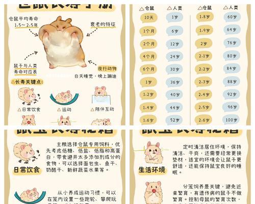 如何延长小仓鼠的寿命？