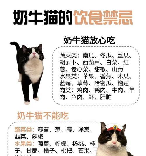 奶牛猫应该搭配哪种猫粮？