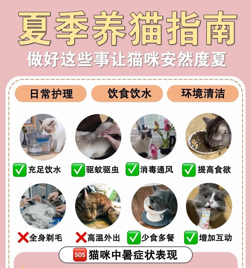 炎热天气如何妥善保存猫粮？