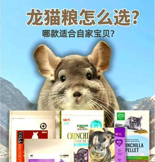 龙猫粮能沾水吗？为什么龙猫粮不能沾水？