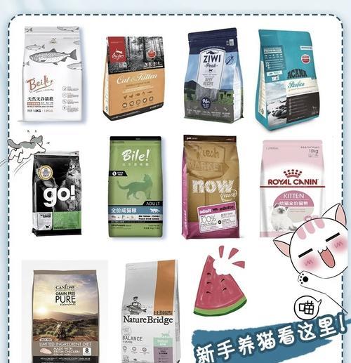 如何选择合适的猫粮储藏罐？购买时应注意什么？