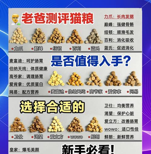 如何选择合适的猫粮储藏罐？购买时应注意什么？
