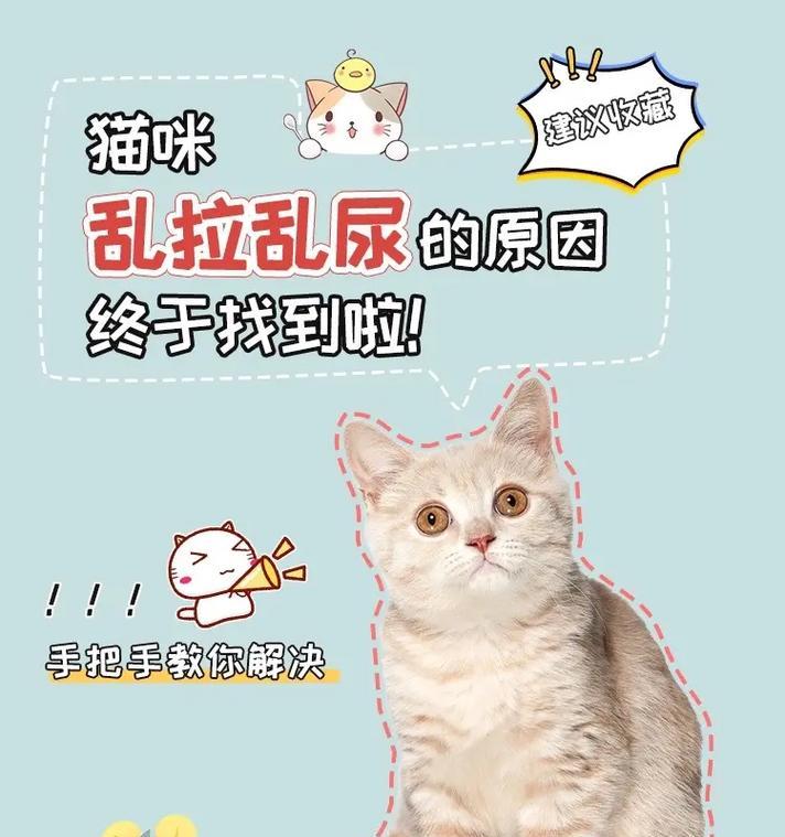 吃猫粮会引起猫随便乱尿吗？这是什么原因？