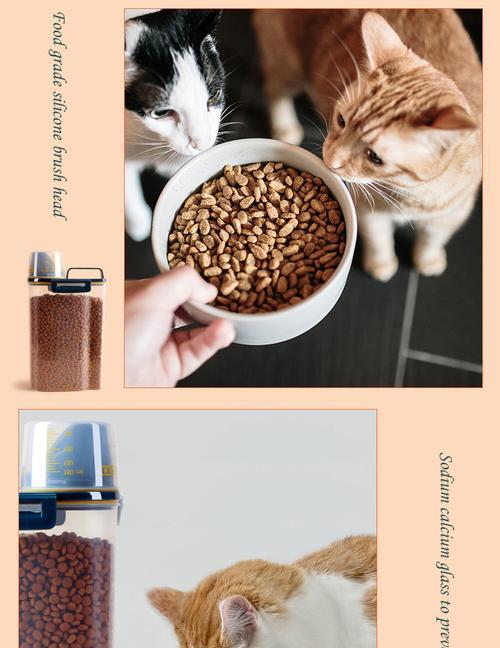 猫粮储存桶的正确使用方法是什么？图解步骤详细吗？