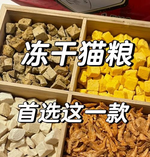 猫咪不敢吃冻干猫粮的原因是什么？