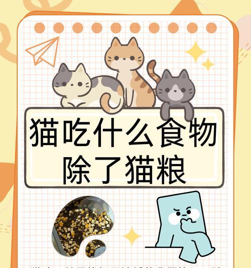 猫5个月喂什么粮最好？五个月大的猫咪应该吃什么类型的猫粮？