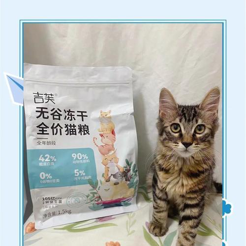 安吉拉猫适合哪种猫粮？