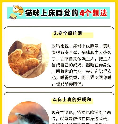 猫咪护着猫粮睡觉是好现象吗？这背后的原因是什么？