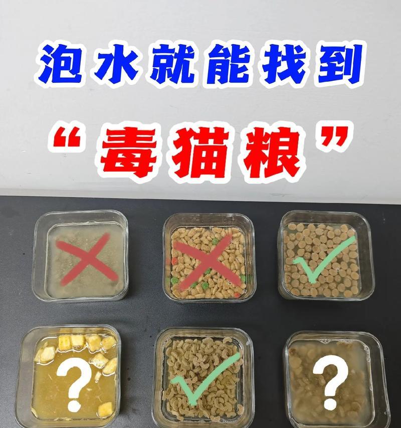 泡水后猫粮状态异常怎么办？