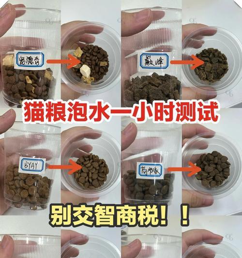 泡水后猫粮状态异常怎么办？