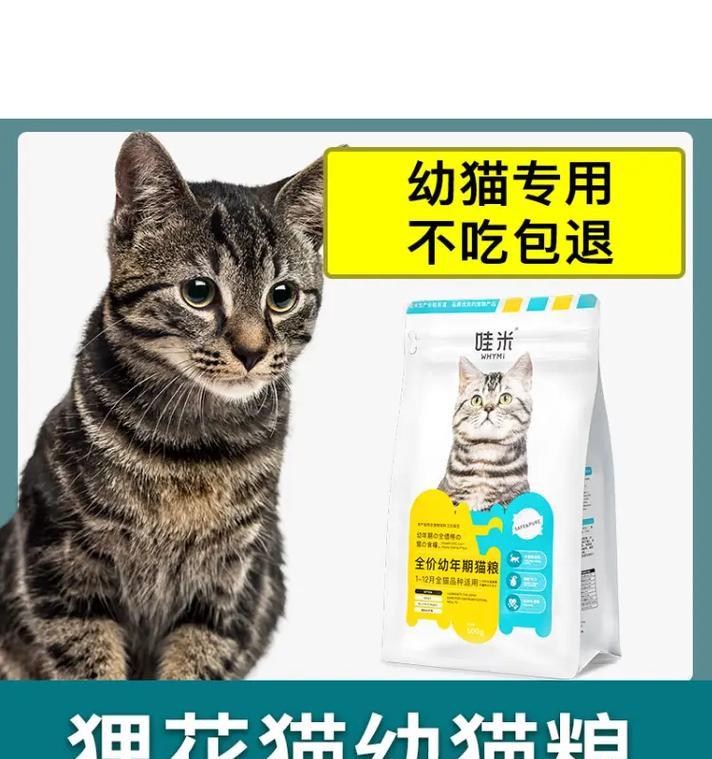 猫在猫屋吃猫粮时不停叫唤怎么办？