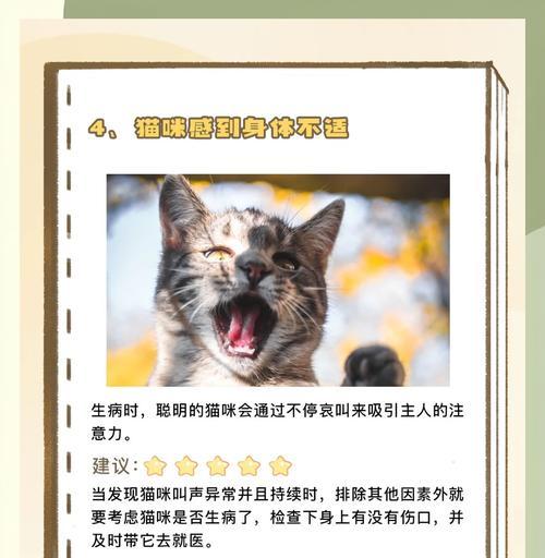猫在猫屋吃猫粮时不停叫唤怎么办？