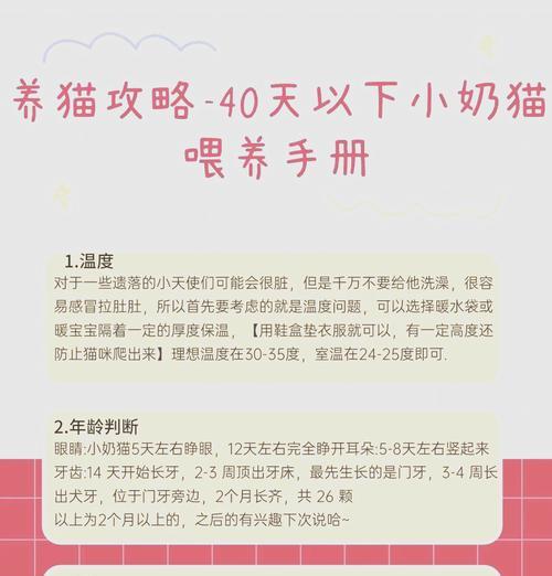 小奶猫怎么喂猫粮？幼猫猫粮喂养的正确方法是什么？
