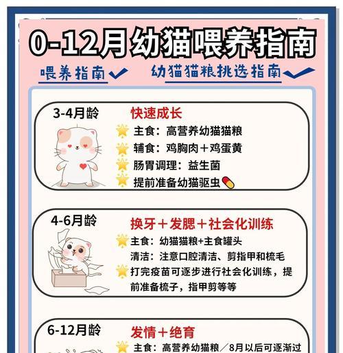 小奶猫怎么喂猫粮？幼猫猫粮喂养的正确方法是什么？