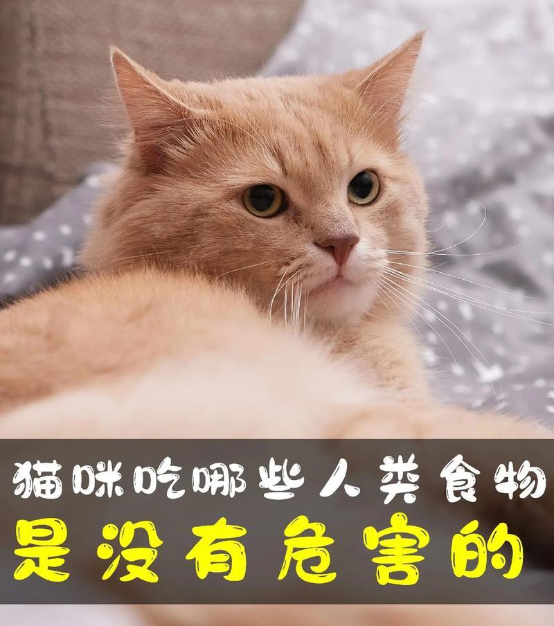 猫为何会跑到家里偷吃猫粮？这是否意味着它们的饮食有问题？