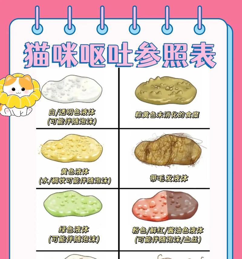 猫咪不吃湿粮却呕吐是什么原因？