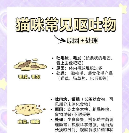 猫咪不吃湿粮却呕吐是什么原因？
