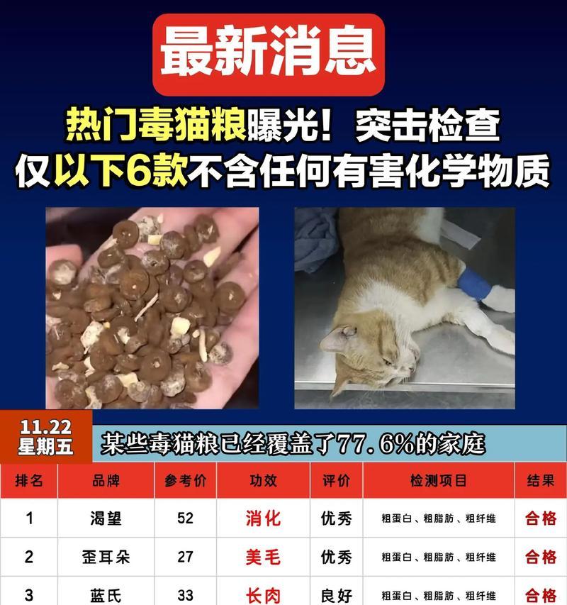 劣质猫粮对猫咪有哪些潜在危害？