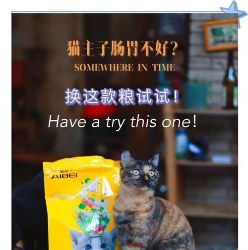 吃了老板的猫粮怎么办？猫咪出现不适症状应如何处理？