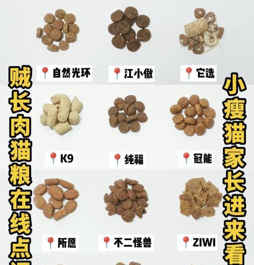 花脚猫怎么做猫粮的好吃？花脚猫猫粮的制作秘诀有哪些？