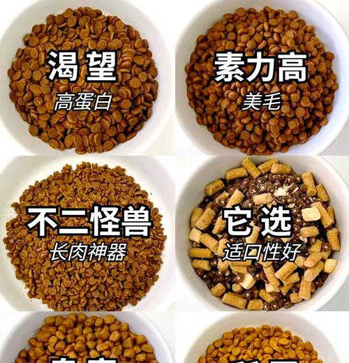 花脚猫怎么做猫粮的好吃？花脚猫猫粮的制作秘诀有哪些？