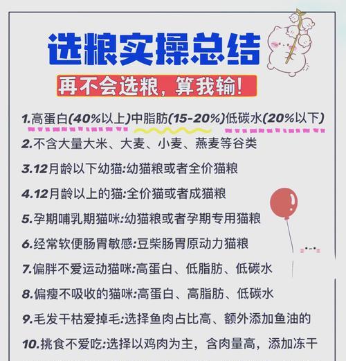 小猫下午吃什么猫粮好？如何选择适合小猫的猫粮？