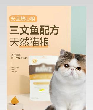 如何制作吸引人的猫粮产品模板图？有哪些设计技巧？