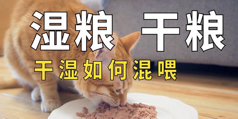 猫粮干湿混喂怎么喂正确？