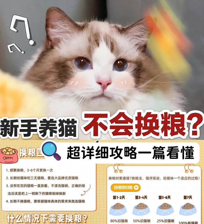 旧猫粮不吃了怎么换新粮？换粮的正确步骤是什么？