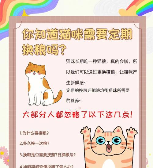 更换猫粮时应该注意哪些细节？