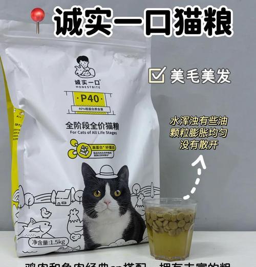 高档猫粮品牌有哪些？如何判断猫粮是否高档好吃？