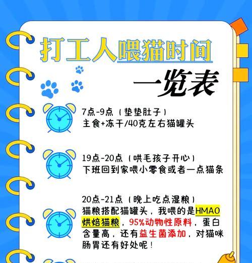猫粮什么时候喂一天比一天多？如何合理安排猫咪的喂食时间？