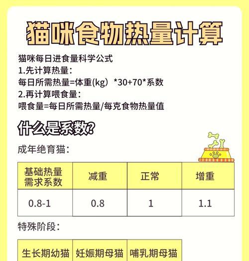 猫粮什么时候喂一天比一天多？如何合理安排猫咪的喂食时间？