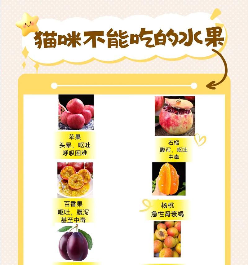 猫咪为什么喜欢吃水果而不吃猫粮？如何调整猫咪的饮食习惯？