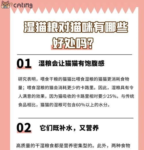 猫咪突然不吃湿粮怎么办？可能的原因是什么？