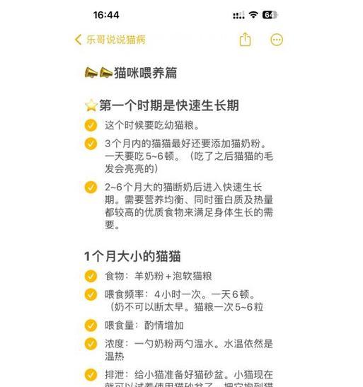 小猫开始吃猫粮的最佳时间是什么时候？