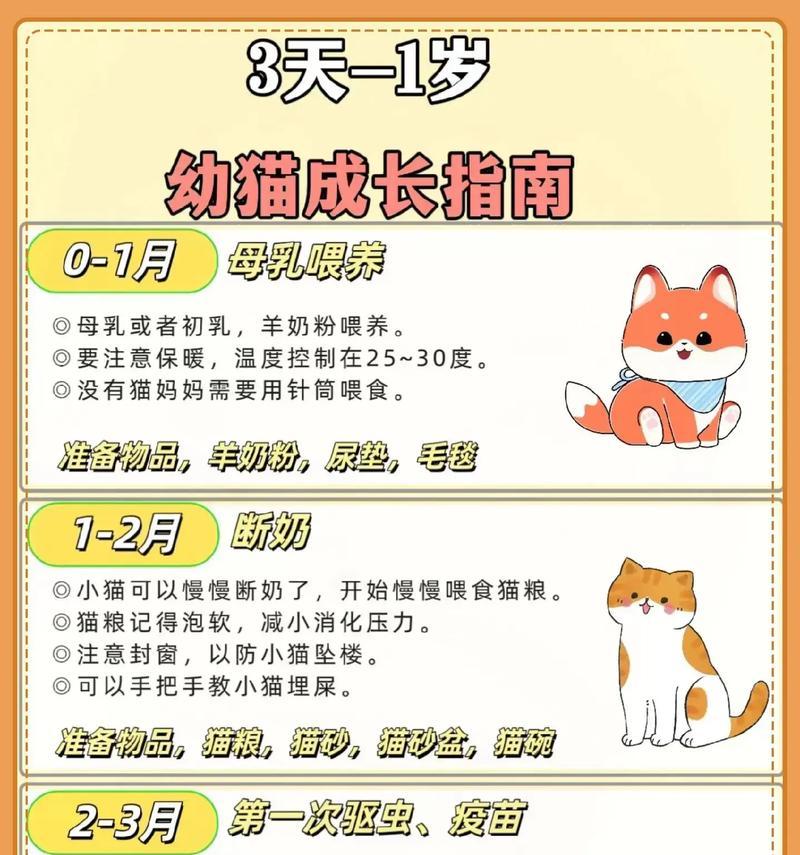 小猫开始吃猫粮的最佳时间是什么时候？