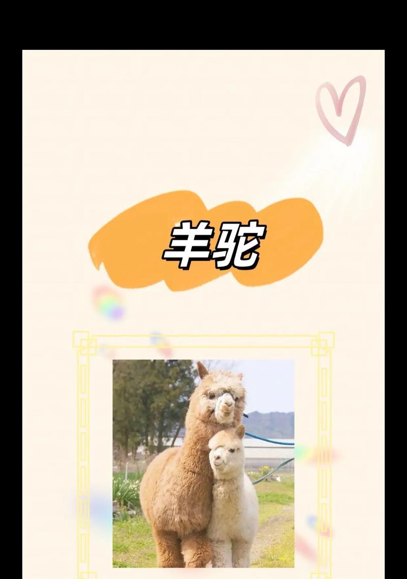 羊驼是墨西哥的国宝嘛？为什么羊驼在墨西哥有特殊地位？