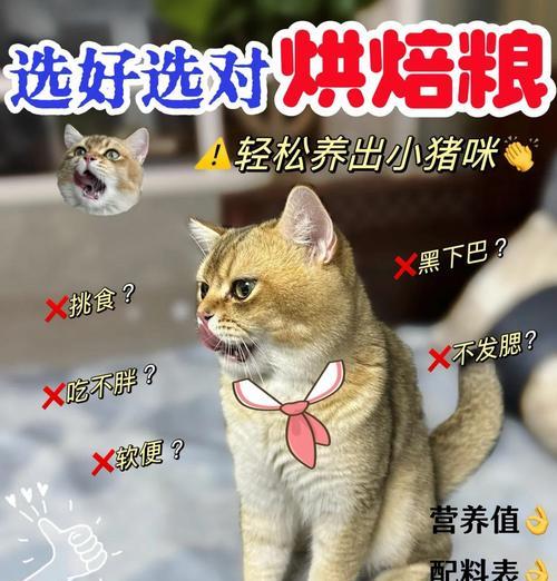 烘焙猫粮受潮后如何清理？
