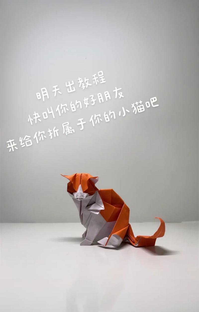 如何用纸折出猫粮形状？这样做有什么好处？