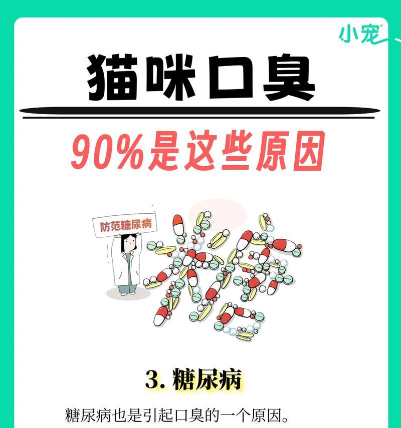 猫吃湿粮口臭怎么办？如何预防和解决？