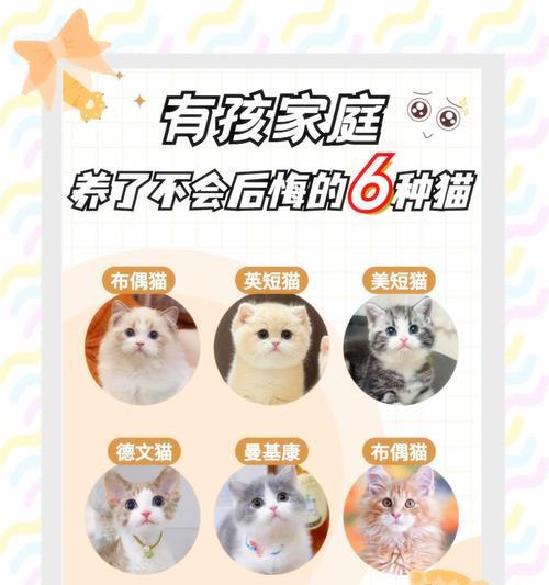 猫仔偏爱羊奶不吃猫粮怎么办？