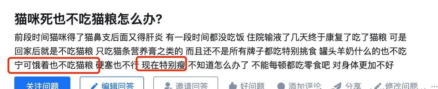 猫仔偏爱羊奶不吃猫粮怎么办？