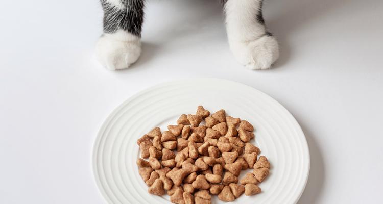 高迪的猫粮怎么样？它的营养成分和口感如何？