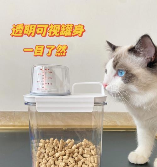 自制户外猫粮桶怎么做？自制猫粮桶有哪些注意事项？
