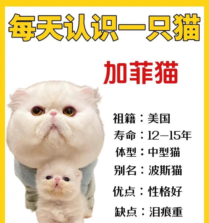 加菲不愿意吃猫粮了吗？可能是什么原因导致的？
