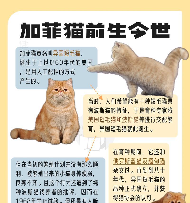 加菲不愿意吃猫粮了吗？可能是什么原因导致的？