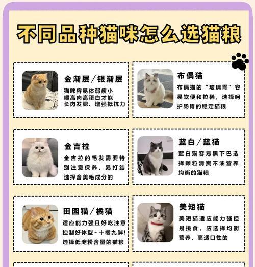 小猫换粮时应该选择哪种猫粮？