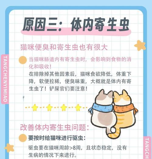 猫咪不排便且无臭味应如何处理？