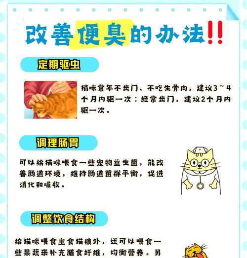 猫咪不排便且无臭味应如何处理？